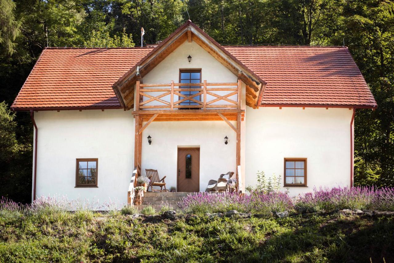 Pensjonat Pod Gora Karczmisko Konradow  Esterno foto