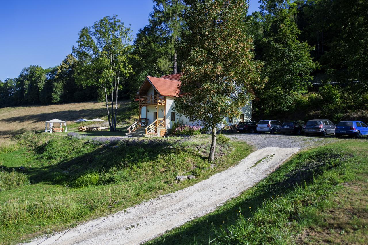 Pensjonat Pod Gora Karczmisko Konradow  Esterno foto