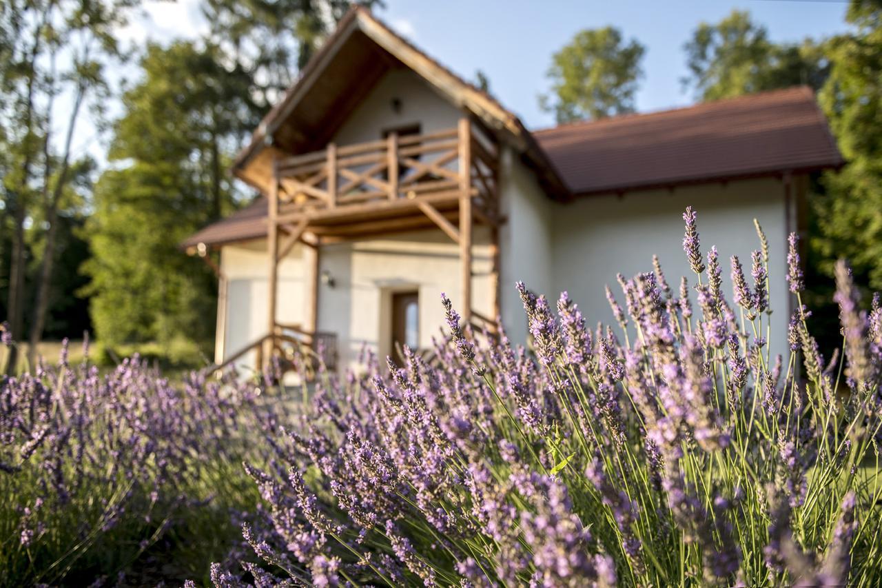 Pensjonat Pod Gora Karczmisko Konradow  Esterno foto